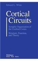 Cortical Circuits: Synaptic Organization of the Cerebral Cortex Structure, Function, and Theory