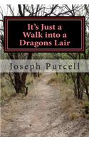Its Just a Walk Into a Dragons Lair