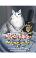 O'Malley's Most Important Day