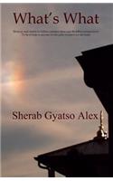 What's What: Hearsay and stories to define common ideas and Buddhist perspectives. To be of help to anyone on the path of search for the truth.