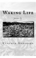Waking Life