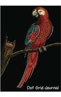 Dot Grid Journal: 7x 10 Dot Grid Journal Professionally Designed (Parrot Paintings), Work Book, Planner, Dotted Notebook, Bullet Grid Journal, Diary,100 Pages