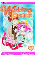 Wedding Peach, Vol. 6