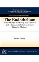 Endothelium, Part I