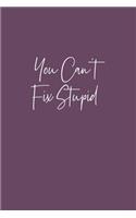 You Can't Fix Stupid