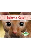 Sphynx Cats