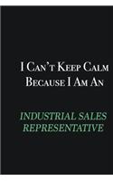 I cant Keep Calm because I am an Industrial Sales Representative: Writing careers journals and notebook. A way towards enhancement