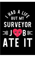 I Had A Life But My Surveyor Job Ate It