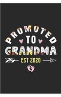Promoted to Grandma Est 2020
