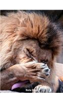 Note Book: Lion Lazing Out, Notebook, Wide Lined, 200 Paged 7.44 X 9.69, King of Jungle