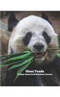 Giant Panda College Ruled 8x10 Notebook Journal