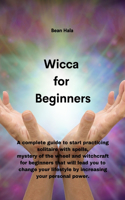 Wicca for Beginners: A complete guide to start practicing solitaire with spells, mystery of the wheel and witchcraft for beginners that will lead you to change your life