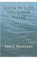 Loon In Late November Water