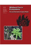 Wildland Fire in Ecosystems