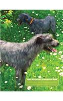 Irish Wolfhound Composition Book