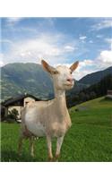 Goat Notebook