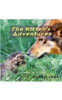 The Kitten's Adventures: Baby Animal Explore the Worlds