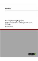Die Europäisierung Bulgariens: Die bulgarische Judikative und Energiepolitik auf der EU-Waage(German)