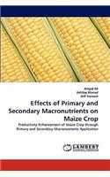 Effects of Primary and Secondary Macronutrients on Maize Crop