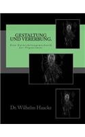 Gestaltung und Vererbung.