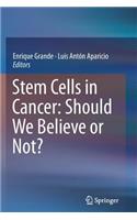 Stem Cells in Cancer: Should We Believe or Not?