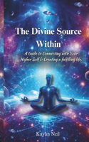 Divine Source Within: A Guide to Connecting with Your Higher Self & Creating a more fulfilling life.