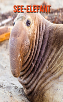 See-Elefant