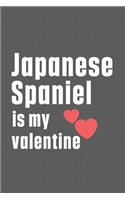 Japanese Spaniel is my valentine: For Japanese Terrier Dog Fans