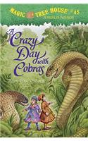 A Crazy Day with Cobras