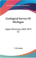 Geological Survey Of Michigan