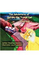 Adventures of Gatsby the Travel Cat in Mesa Verde