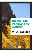 The Potato in Field and Garden