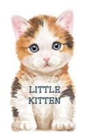 Little Kitten