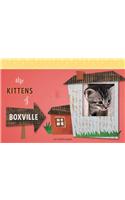 Kittens of Boxville