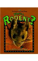 What Is a Rodent?