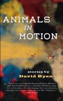 Animals in Motion