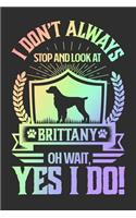 I Don't Always Stop and Look At Brittany OH Wait, Yes I Do!