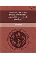 Efficient Training and Feature Induction in Sequential Supervised Learning