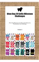 Biton Dog 20 Selfie Milestone Challenges Biton Dog Milestones for Memorable Moments, Socialization, Fun Challenges Volume 2