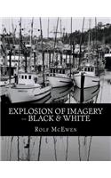 Explosion of Imagery -- Black & White