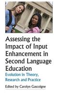 Assessing the Impact of Input Enhancement in Second Language Education