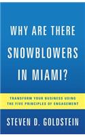 Why Are There Snowblowers in Miami?: Transform Your Business Using the Five Principles of Engagement
