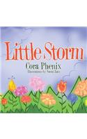 Little Storm