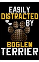 Easily Distracted by Boglen Terrier