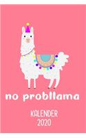 Kalender 2020 No Probllama: Jahrekalender 2020 für Lama Fans als Geschenk für Alpaka liebende Freundin / DIN A5 - 6x9" - 120 Seiten / Terminkalender Llama 2020