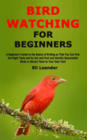 Bird Watching for Beginners