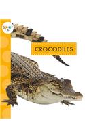 Crocodiles