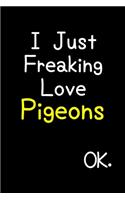 I Just Freaking Love Pigeons Ok.