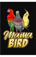 Mama Bird