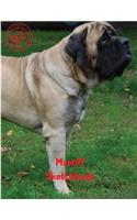 Mastiff Sketchbook: (Sketchbook for Girls)
